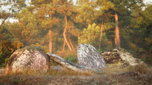 Monteneuf, mégalithe de la pièce couverte, au coucher du soleil