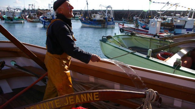 Fête de la Coquille Saint-Jacques - Baie de Saint-Brieuc