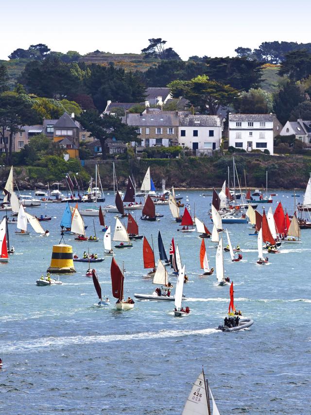 La Semaine du Golfe - Golfe du Morbihan