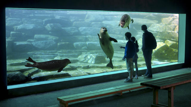 Aquavision, Parc de Branféré