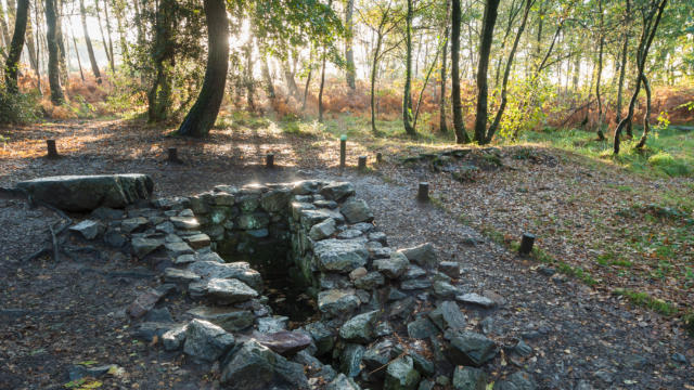 Paimpont, la fontaine de Barenton dans la forêt de Brocéliande.