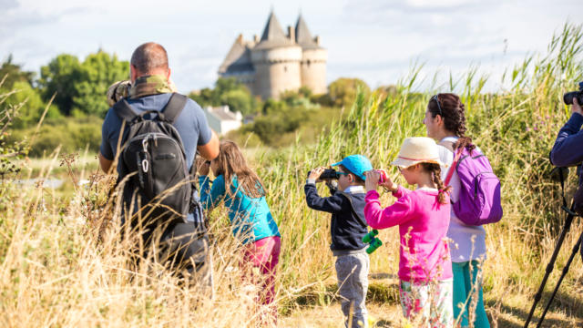 Observez les oiseaux du Golfe avec David Au cœur du Parc Naturel Régional du Golfe du Morbihan,, Château de Suscinio
