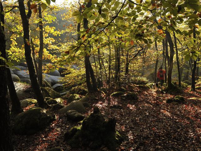 Landes de Locarn et Gorges du Corong