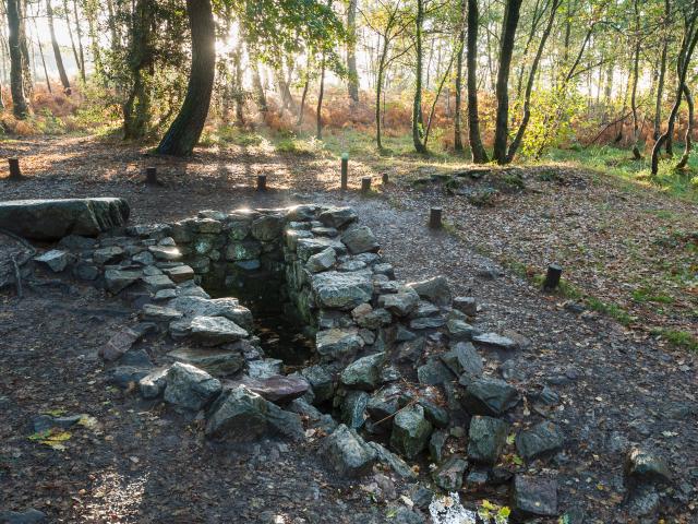 Paimpont, la fontaine de Barenton dans la forêt de Brocéliande.