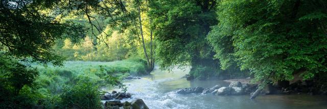 La Vallée du Couesnon, espace Naturel Sensible