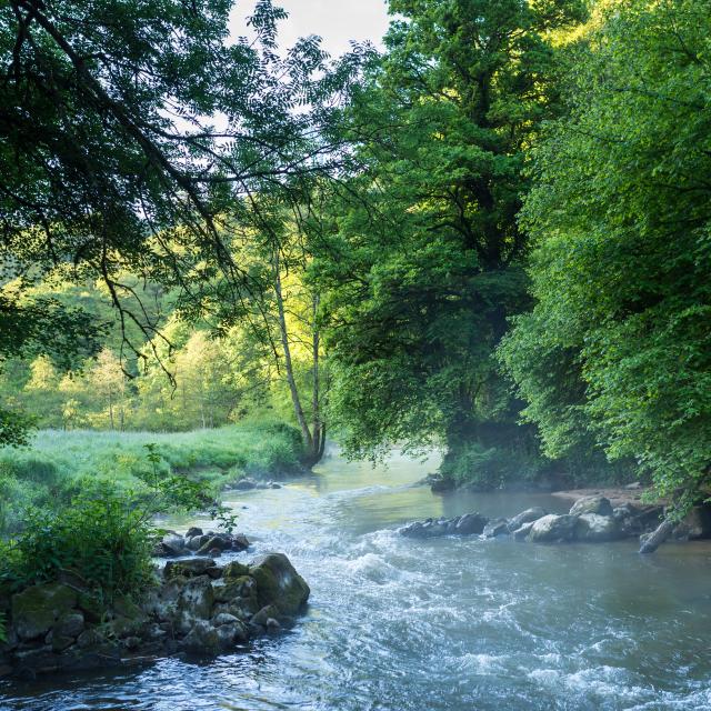 La Vallée du Couesnon, espace Naturel Sensible