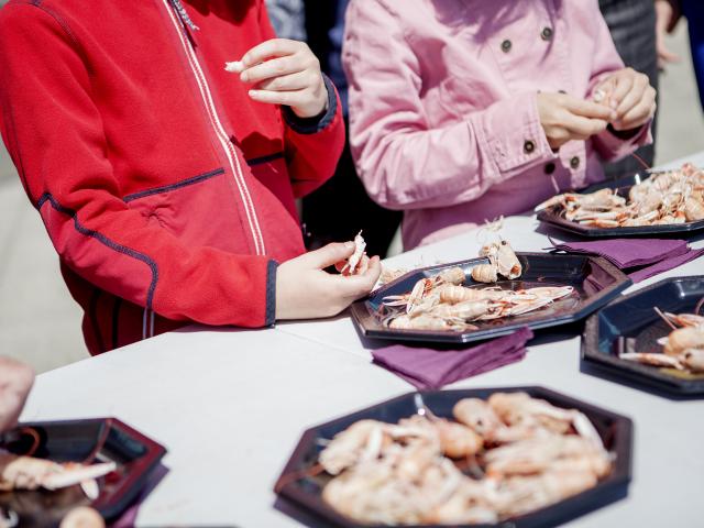 Dégustation de langoustines à Haliotika, la Cité de la mer - Guilvinec