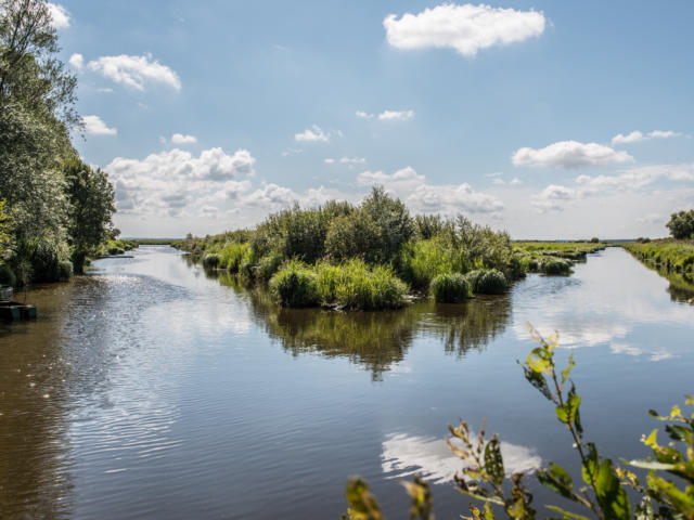 Au coeur de la Brière à la Mare aux Oiseaux