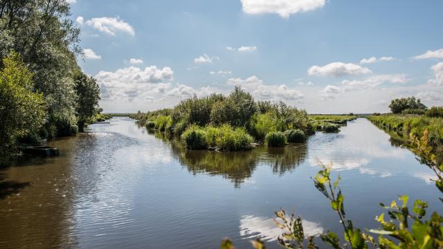 Au coeur de la Brière à la Mare aux Oiseaux
