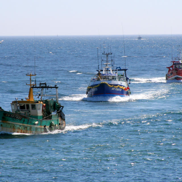 Retour de peche au port du Guilvinec, Ouest Cornouaille