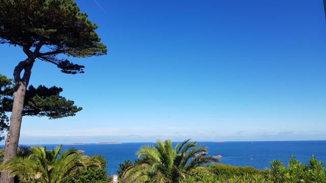 Les Hydrangeas - Perros Guirec