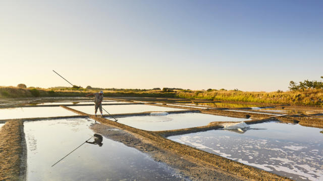 Marais salants - Guérande