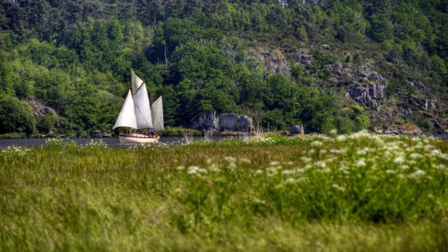 Le Morwenna sur la Vilaine - La Roche-Bernard