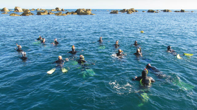 Balade Palmée - Côte des légendes