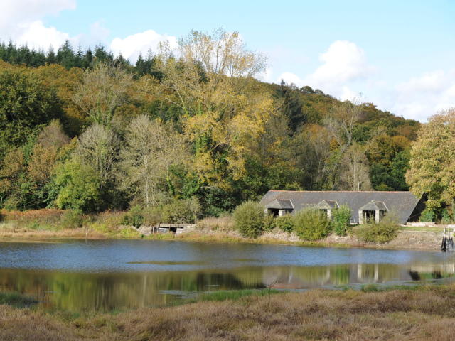 Foret de Quenecan - Etangs des Salles