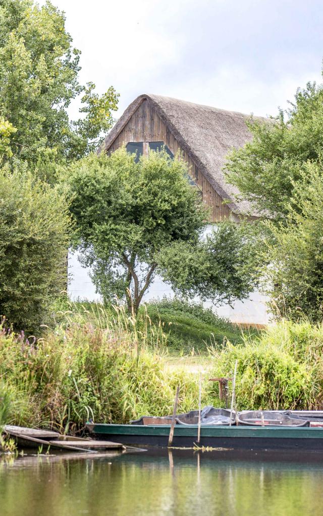 Apéro Oiseaux® au coeur des marais de Brière, maison en toit de chaume
