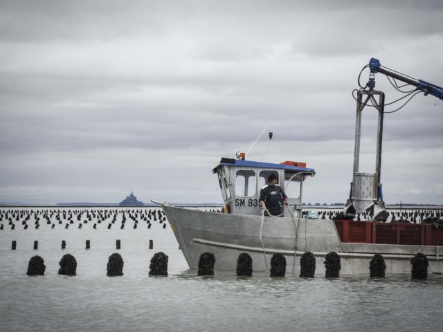 Mytiliculture avec bateau amphibie
