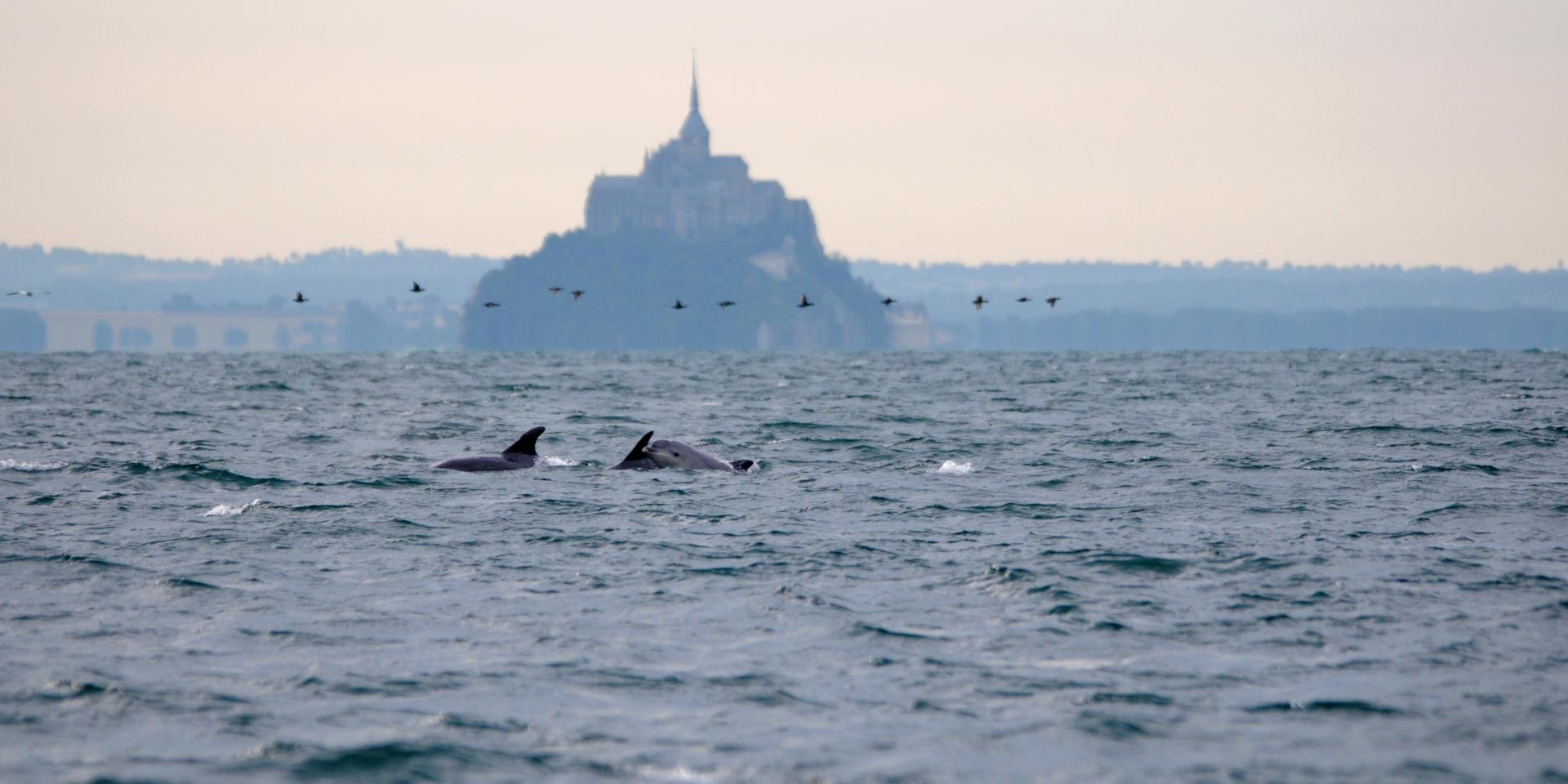 Baie du Mont-Saint-Michel