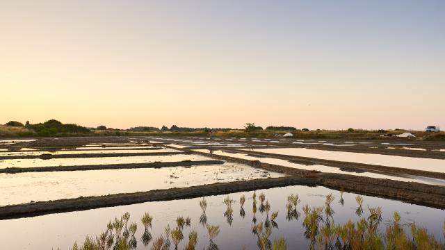 Marais salants - Guérande