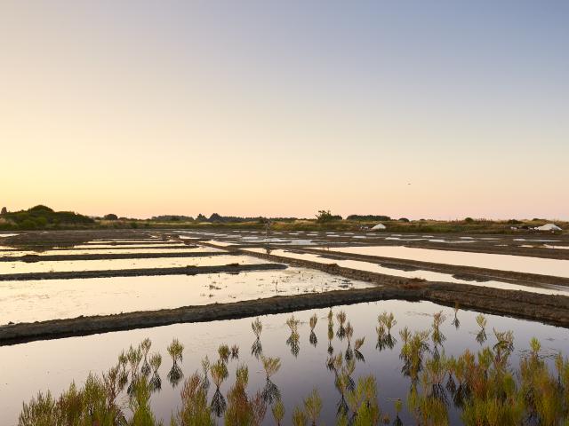 Marais salants - Guérande
