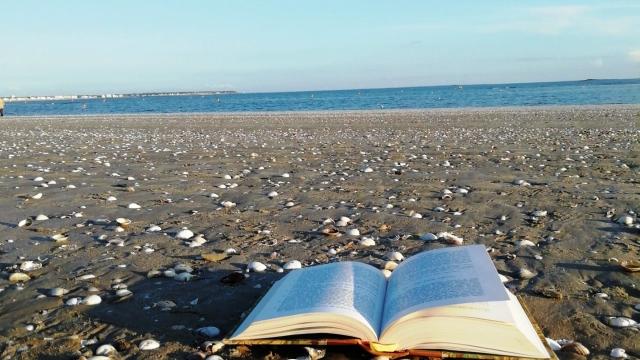 Livre sur la plage