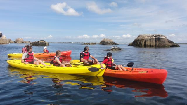 Kayaks et phoque