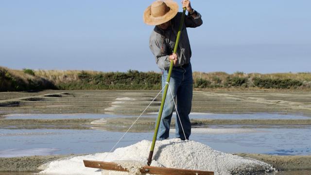 Marais Salants de Guérande - Terre de sel - Paludier