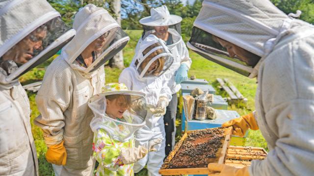 Expérience Bretonne - La Fontaine d'Airmeth, apiculture