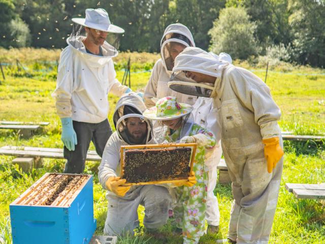Apiculture - La Fontaine d'Airmeth - Ploërdut