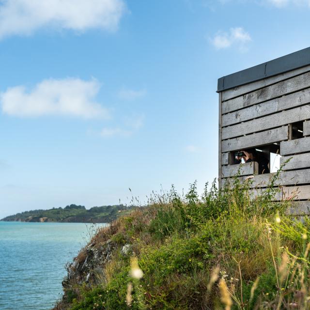 Hillion - Baie de Saint-Brieuc - Réserve naturelle - Cabane d'observation