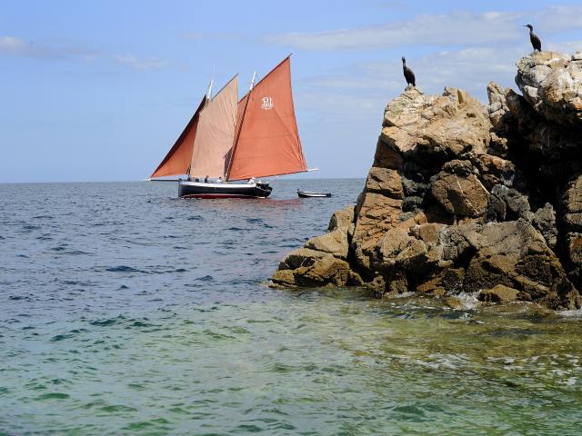 le bateau l'Arjantilez avec quelques cormoran navigue sur la mer au large de Perros-Guirec