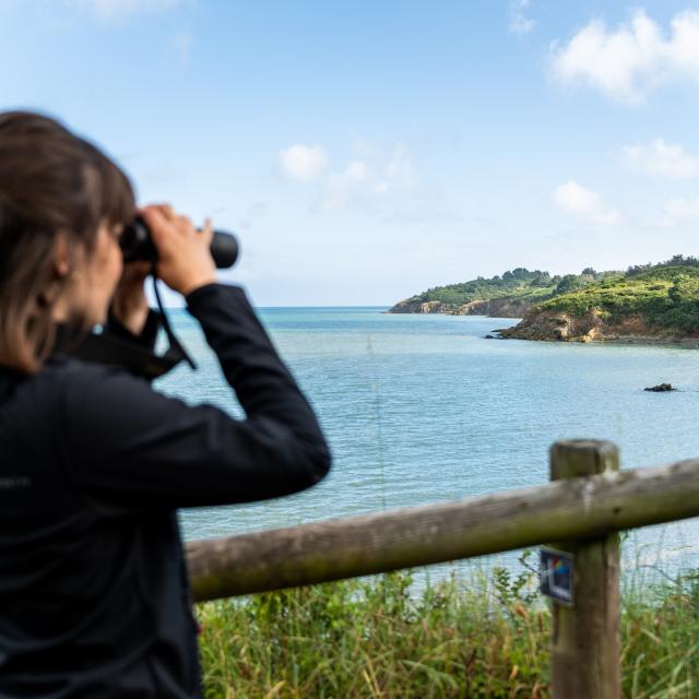 Hillion - réserve naturelle - Observation des oiseaux