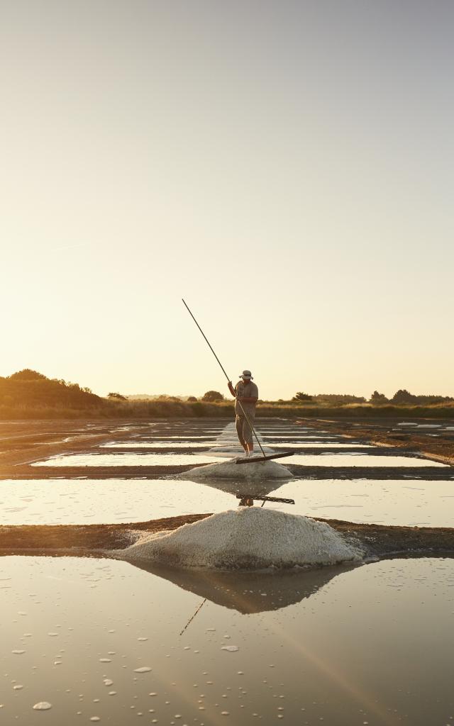 Guérande - Marais Salant - Savoir-faire