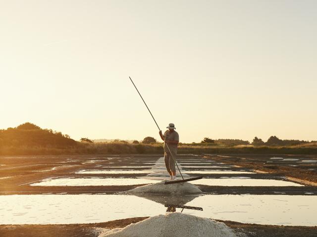 Guérande - Marais Salant - Savoir-faire