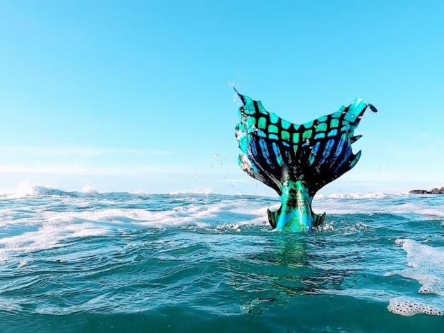 Quiberon - Mermaiding