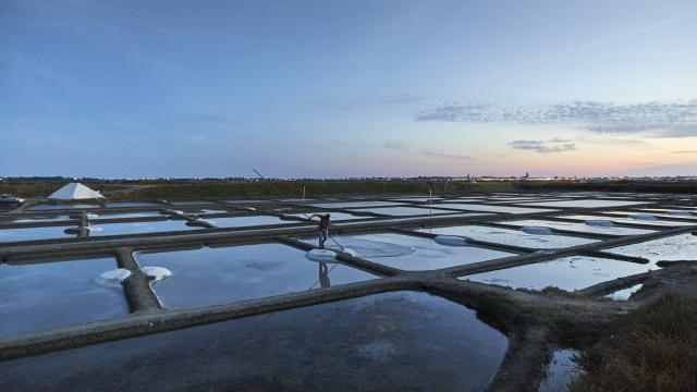 Guérande - Marais Salant