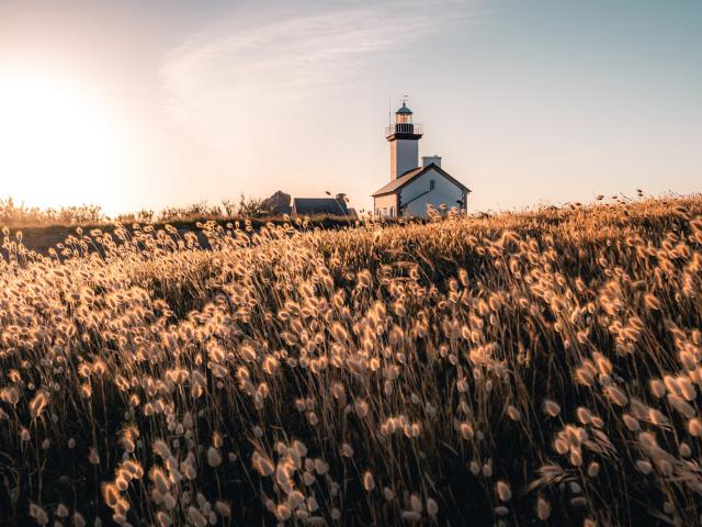 Phare au fond du champ