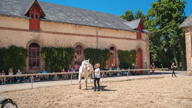 Au Haras National Hennebont