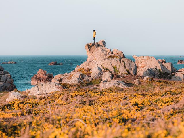 Détente sur les rochers