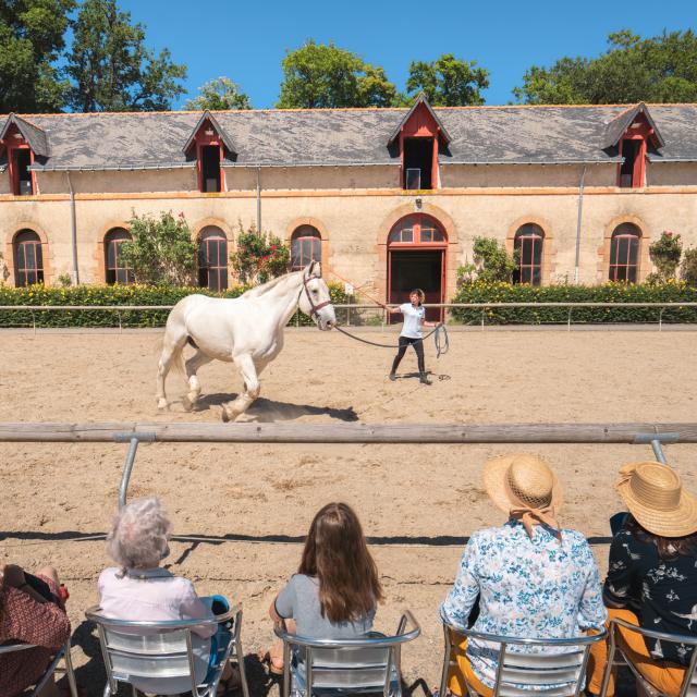 Représentation au Haras National Hennebont