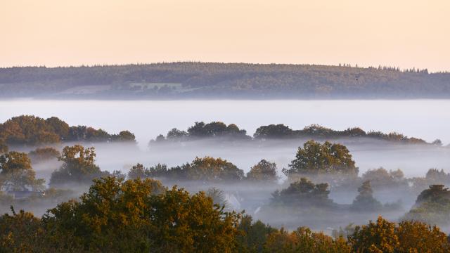 Landes de Lanvaux