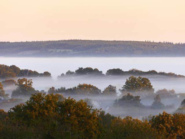Landes de Lanvaux