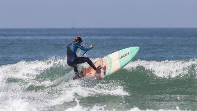 Paddle