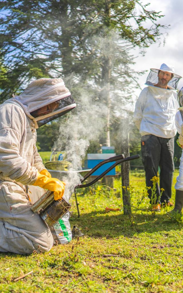Expérience Bretonne - La Fontaine d'Airmeth, apiculture