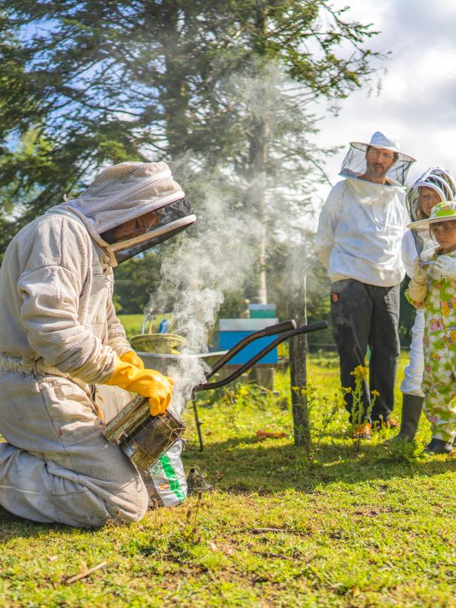 Expérience Bretonne - La Fontaine d'Airmeth, apiculture