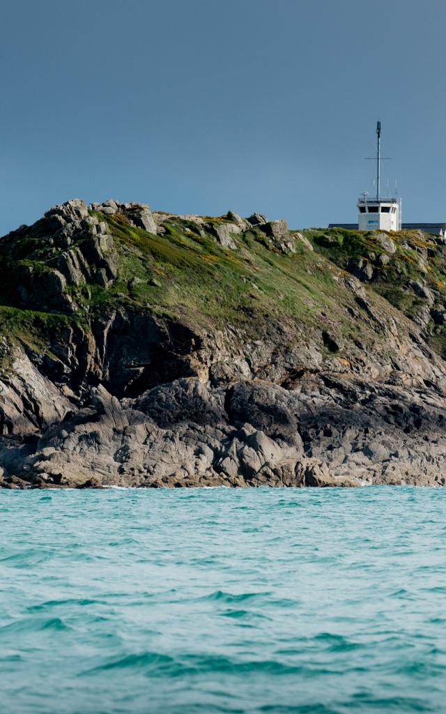 Participez à l'observation des grands dauphins à Port-Mer
Expérience bretonne