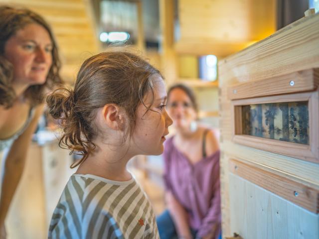 Expérience Bretonne - La Fontaine d'Airmeth, apiculture