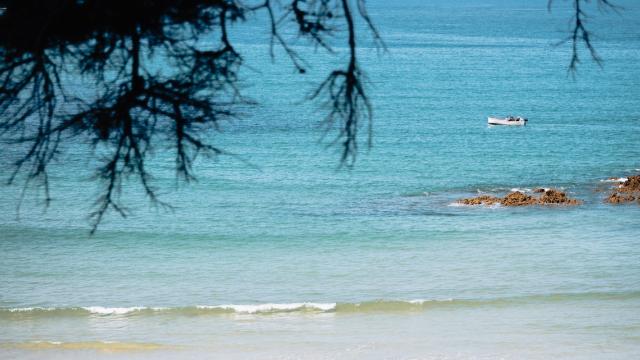 Plestin-les-Grêves - plage