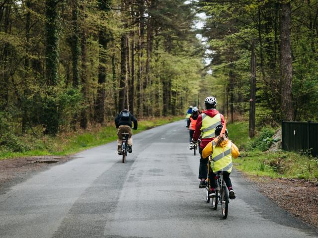 Expérience Bretonne - Brocéliande Bike Tour