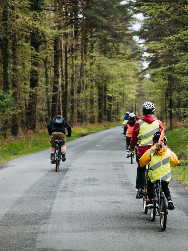 Expérience Bretonne - Brocéliande Bike Tour